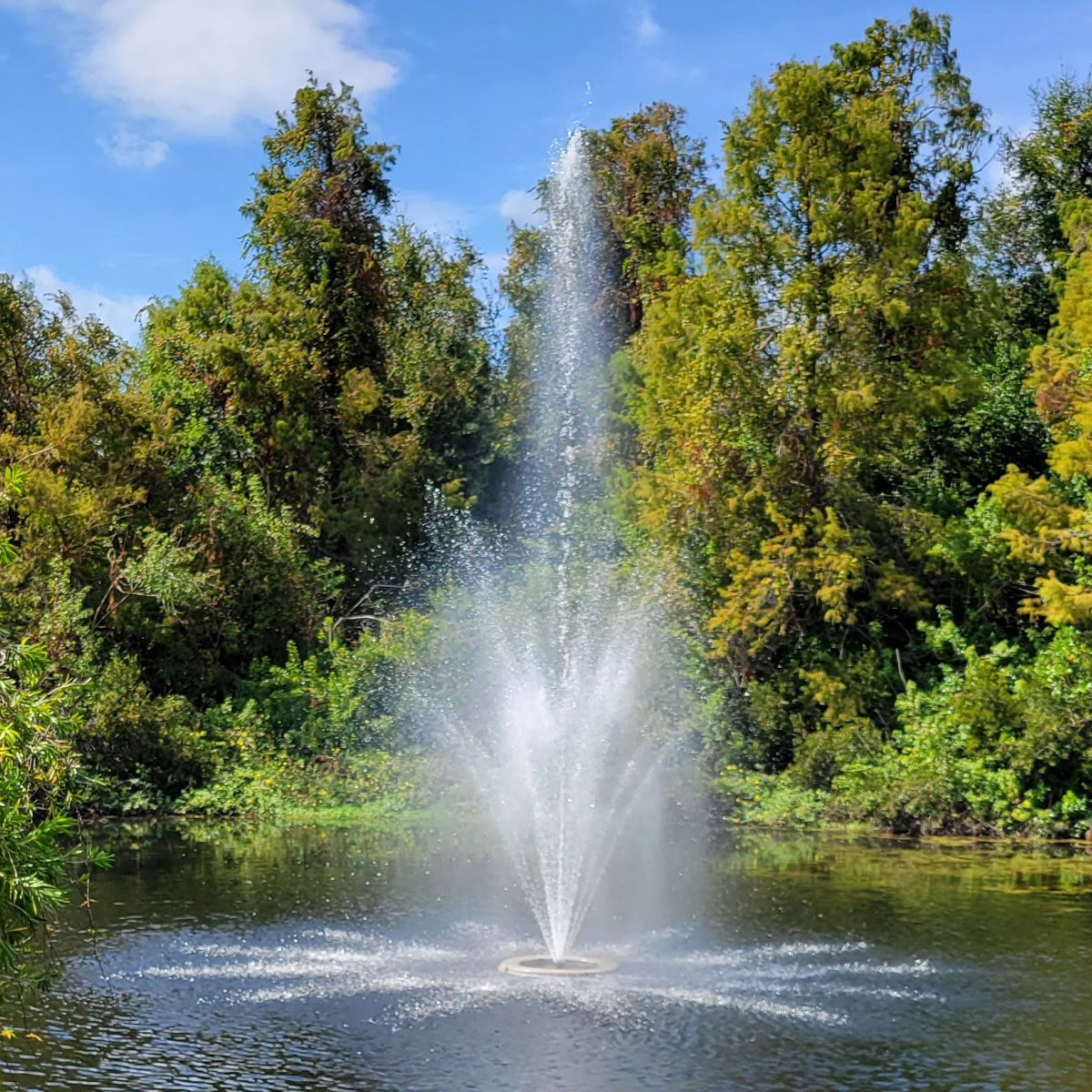 fountain, community, dr phillips