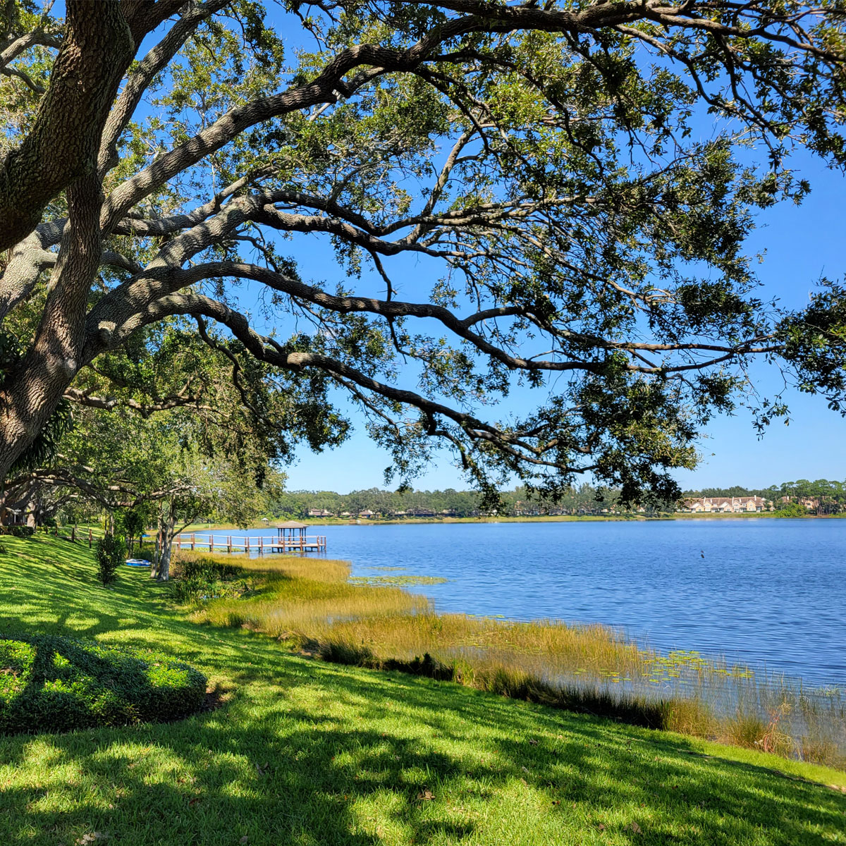 lakeside living