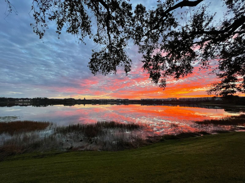 sunrise, somerset shores